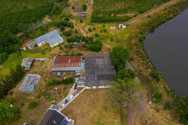 Established Pear Export Farm thumbnail 17