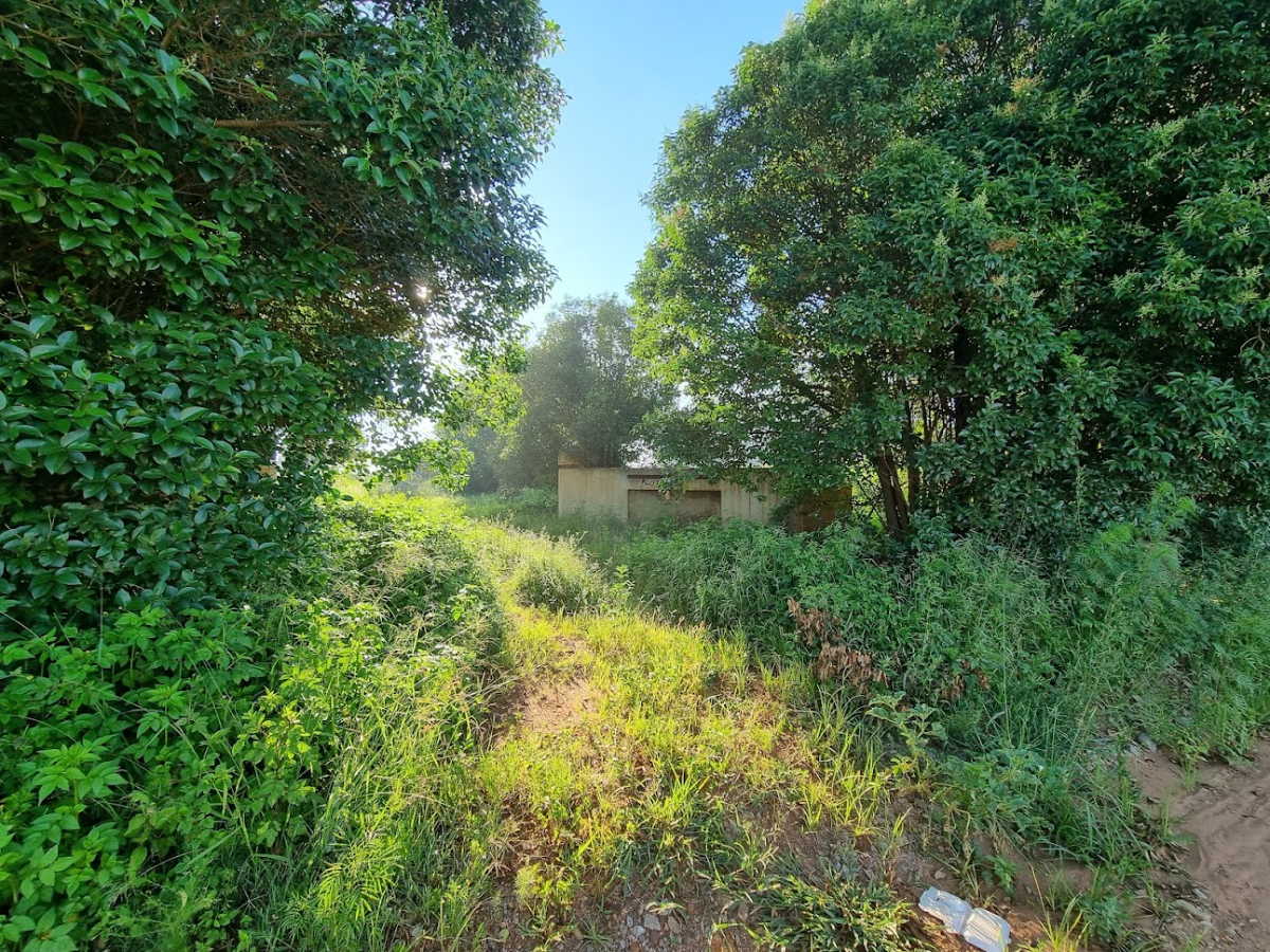 Online Liquidation Auction - Vacant Agricultural Stand - Misgund, Jhb thumbnail 2