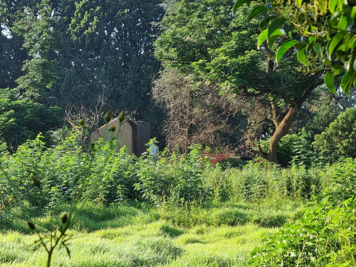 Online Liquidation Auction - Vacant Agricultural Stand - Misgund, Jhb thumbnail 5