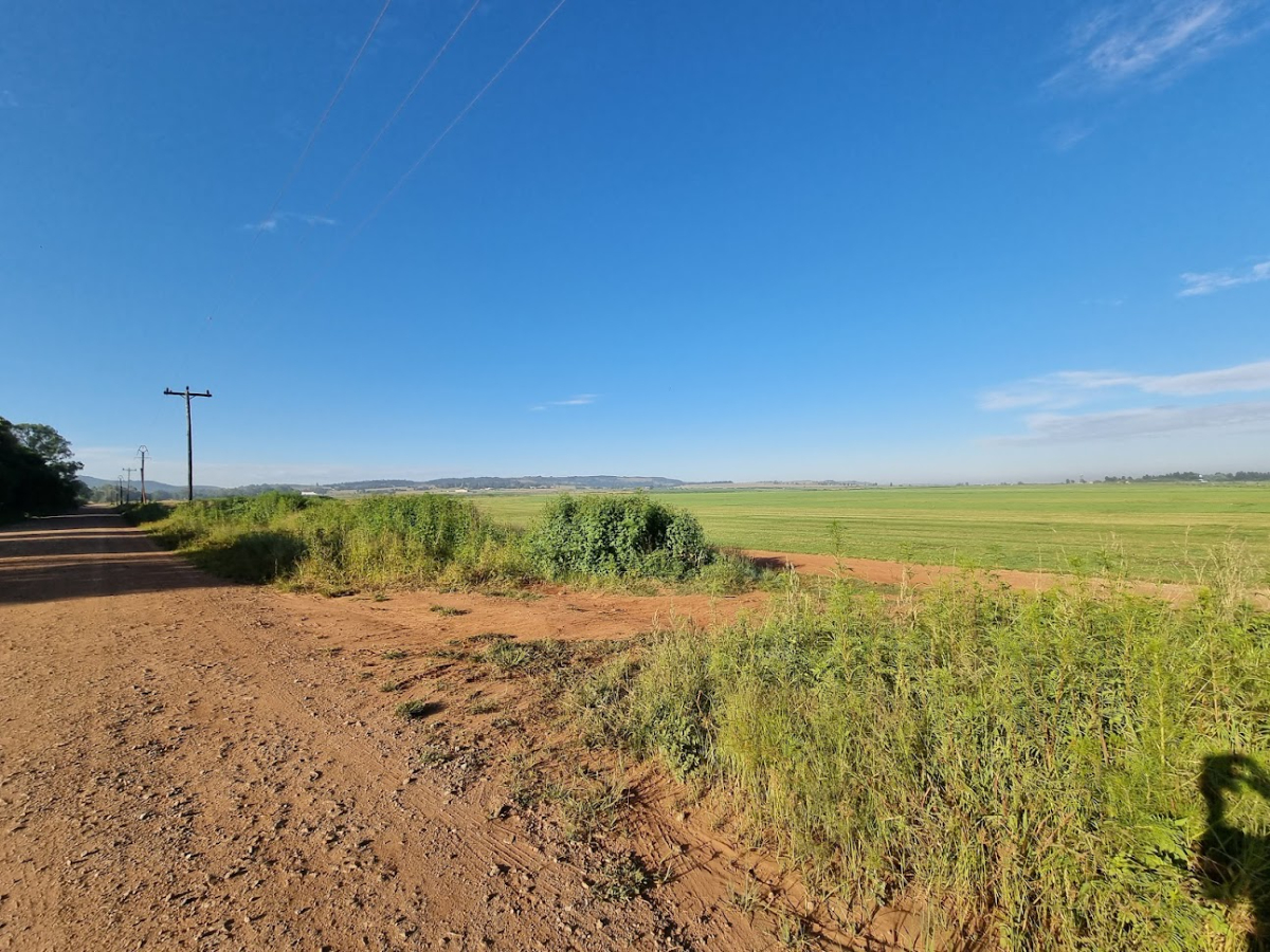 Online Liquidation Auction - Vacant Agricultural Stand - Misgund, Jhb thumbnail 8