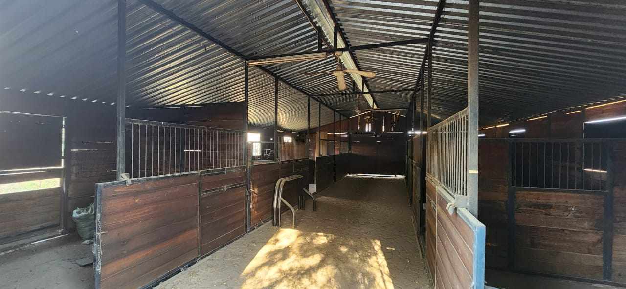 Large Stand With 4 Bedroom House And Horse Stables thumbnail 4