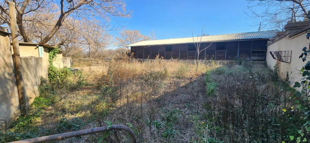 Large Stand With 4 Bedroom House And Horse Stables thumbnail 14
