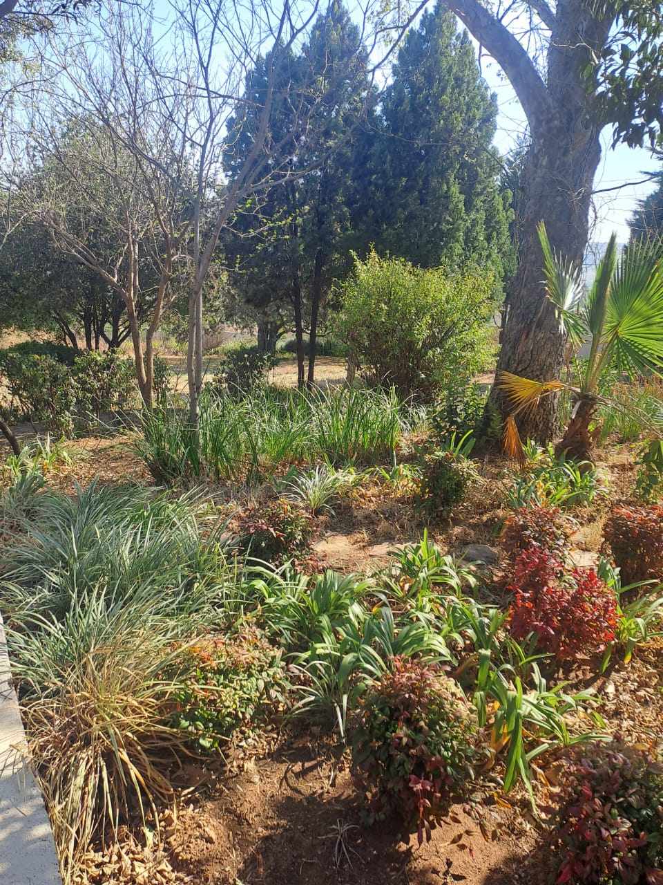 Residential Dwelling on Large Stand - Magaliesburg thumbnail 10