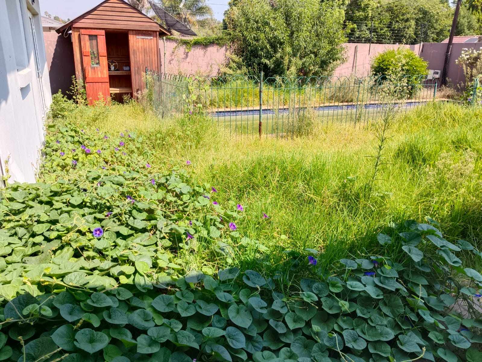 Onsite Insolvency Auction - 3 Bed, 3 Bath Residential Home With Garden Flat - Norwood - Johannesburg thumbnail 20