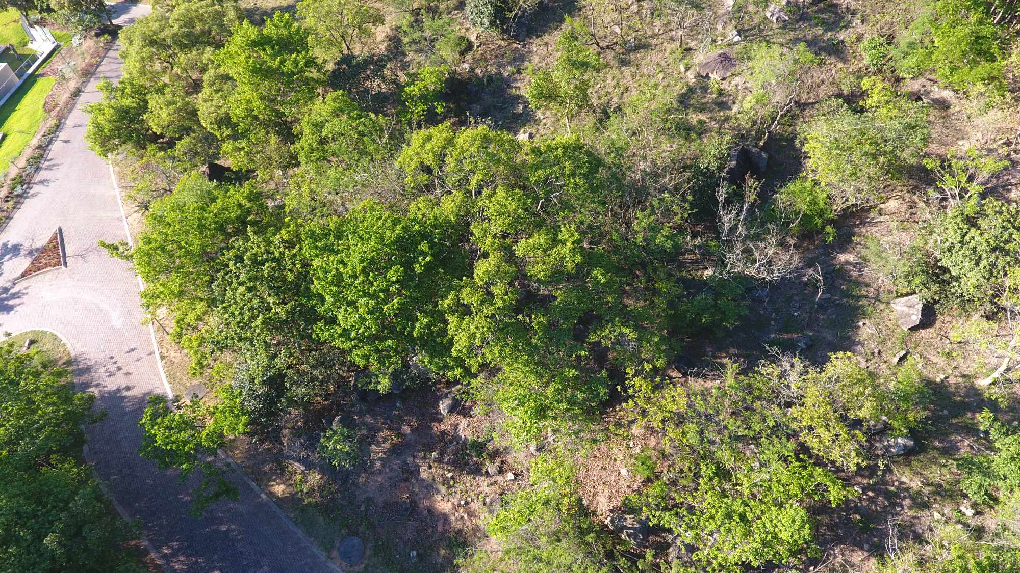 Vacant Residential Stand - Milkwood Estate, Nelspruit thumbnail 2