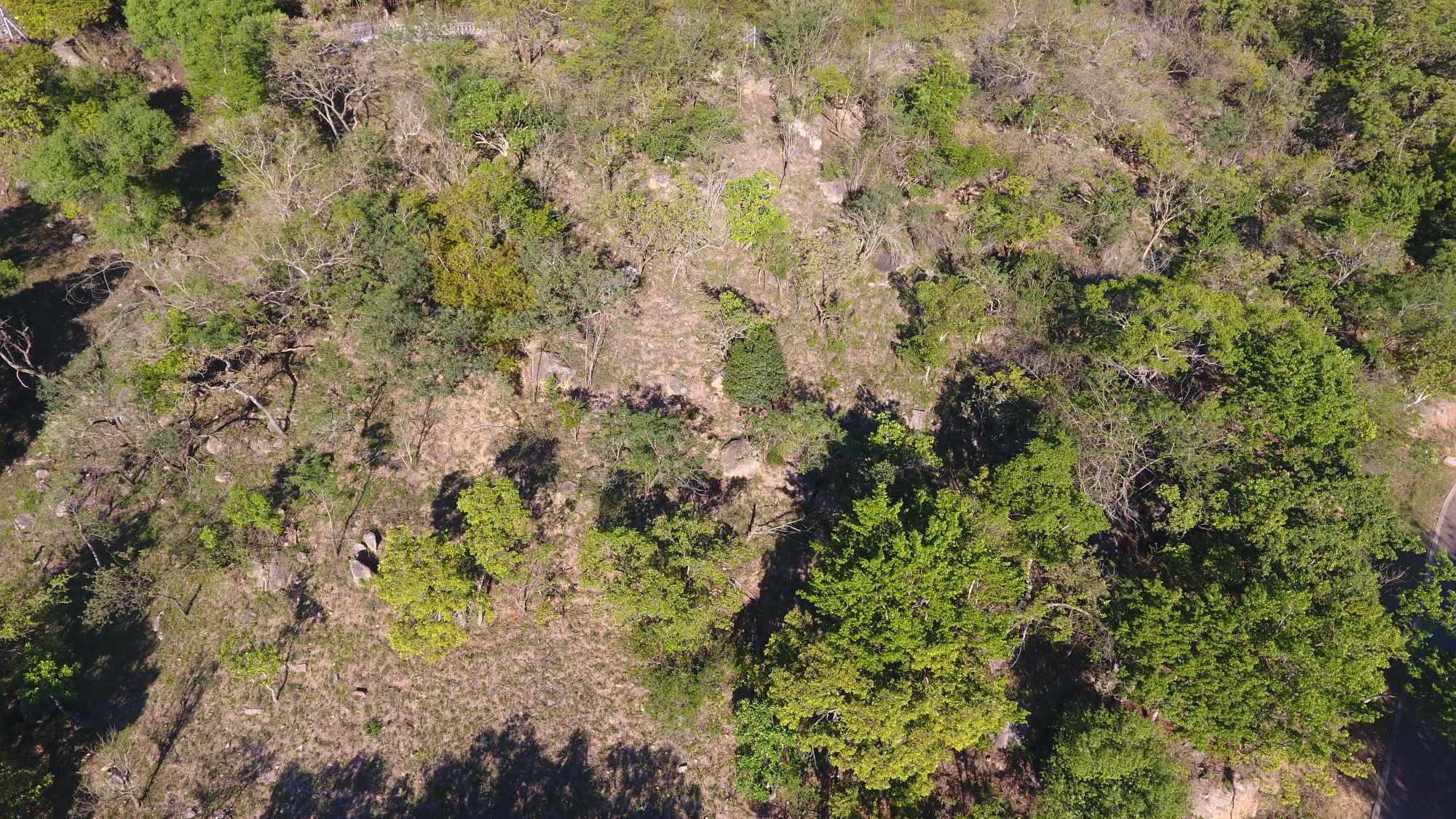 Vacant Residential Stand - Milkwood Estate, Nelspruit thumbnail 3