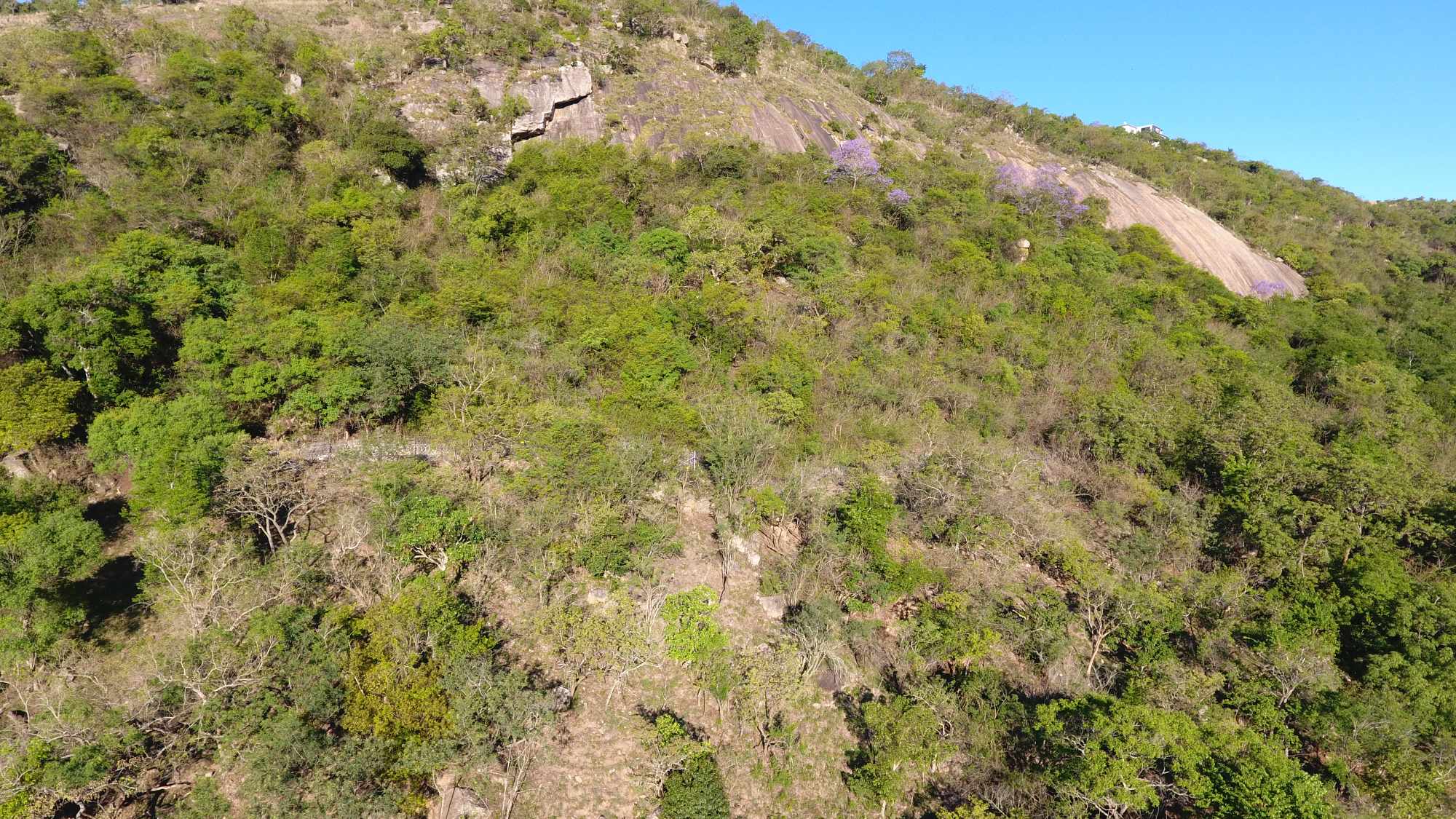 Vacant Residential Stand - Milkwood Estate, Nelspruit thumbnail 4