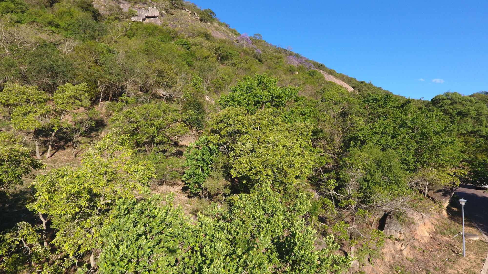 Vacant Residential Stand - Milkwood Estate, Nelspruit thumbnail 6