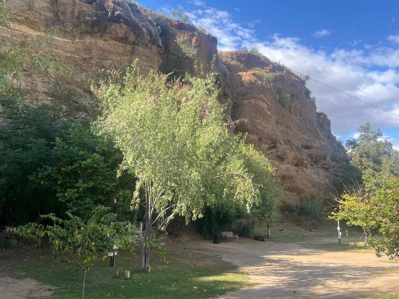 Function Venue In Calitzdorp thumbnail 26