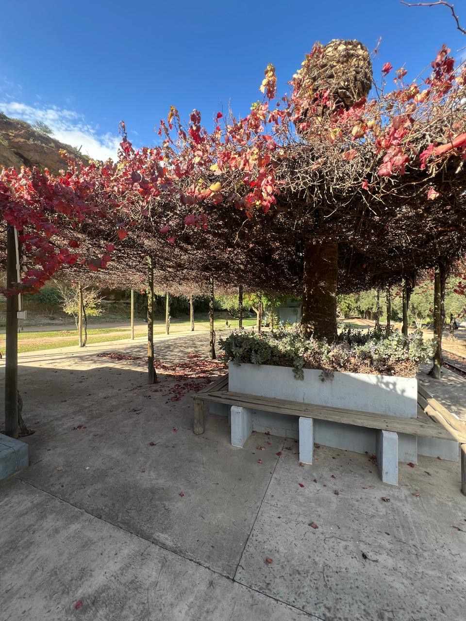 Function Venue In Calitzdorp thumbnail 28