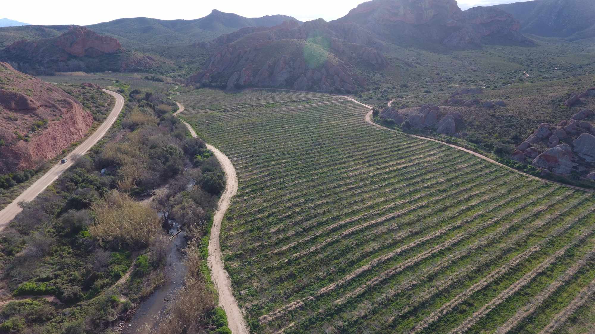 Beautiful Property Known As Red Mountain Ridge Including Guest Cottages thumbnail 3