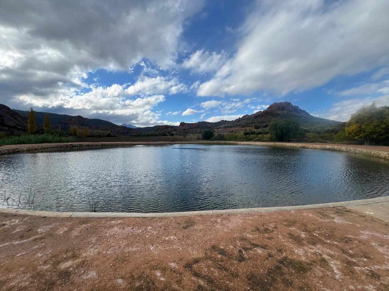 Beautiful Property Known As Red Mountain Ridge Including Guest Cottages thumbnail 13