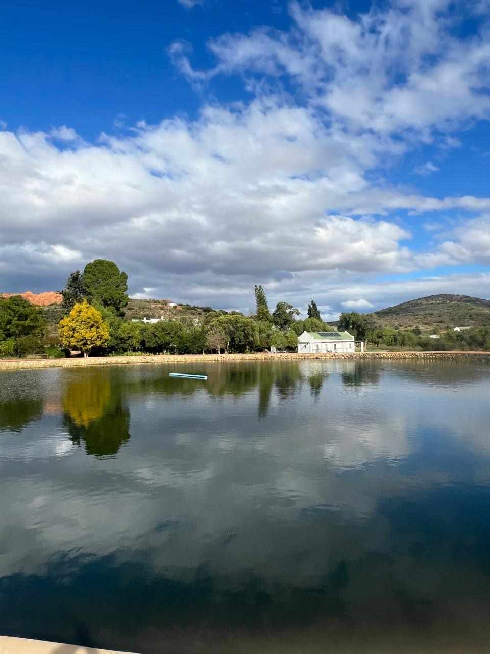 Beautiful Property Known As Red Mountain Ridge Including Guest Cottages thumbnail 17