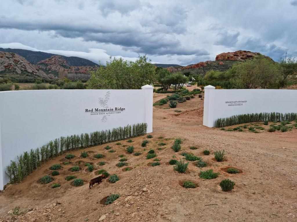 Beautiful Property Known As Red Mountain Ridge Including Guest Cottages thumbnail 18