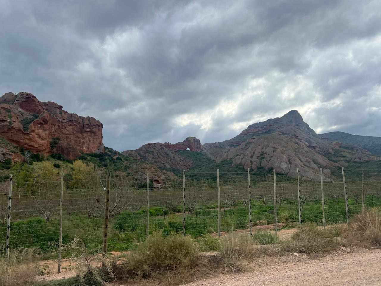 Beautiful Property Known As Red Mountain Ridge Including Guest Cottages thumbnail 27