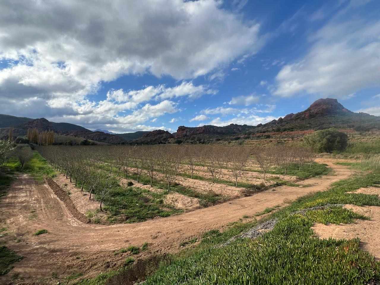 Beautiful Property Known As Red Mountain Ridge Including Guest Cottages thumbnail 29