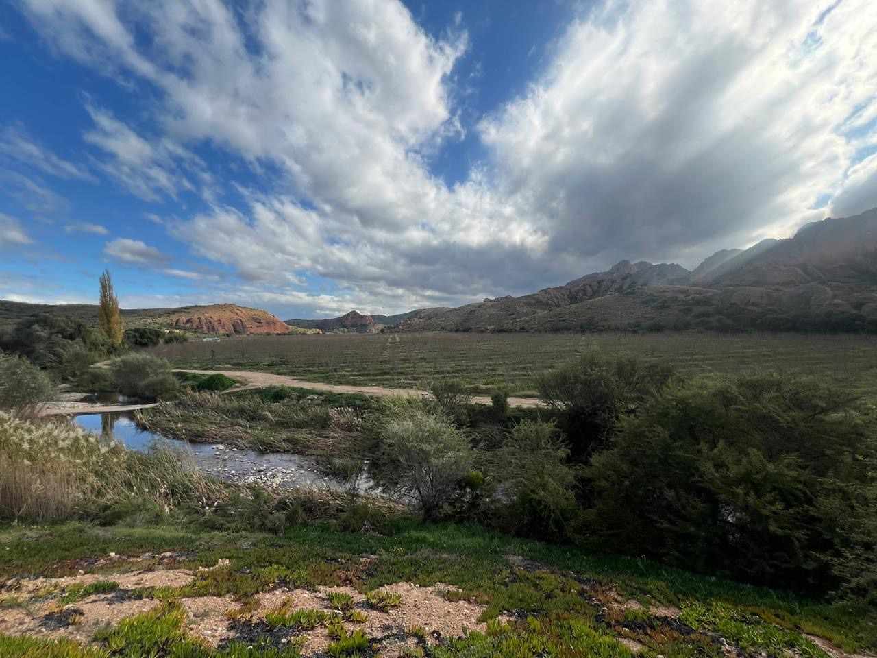 Beautiful Property Known As Red Mountain Ridge Including Guest Cottages thumbnail 30