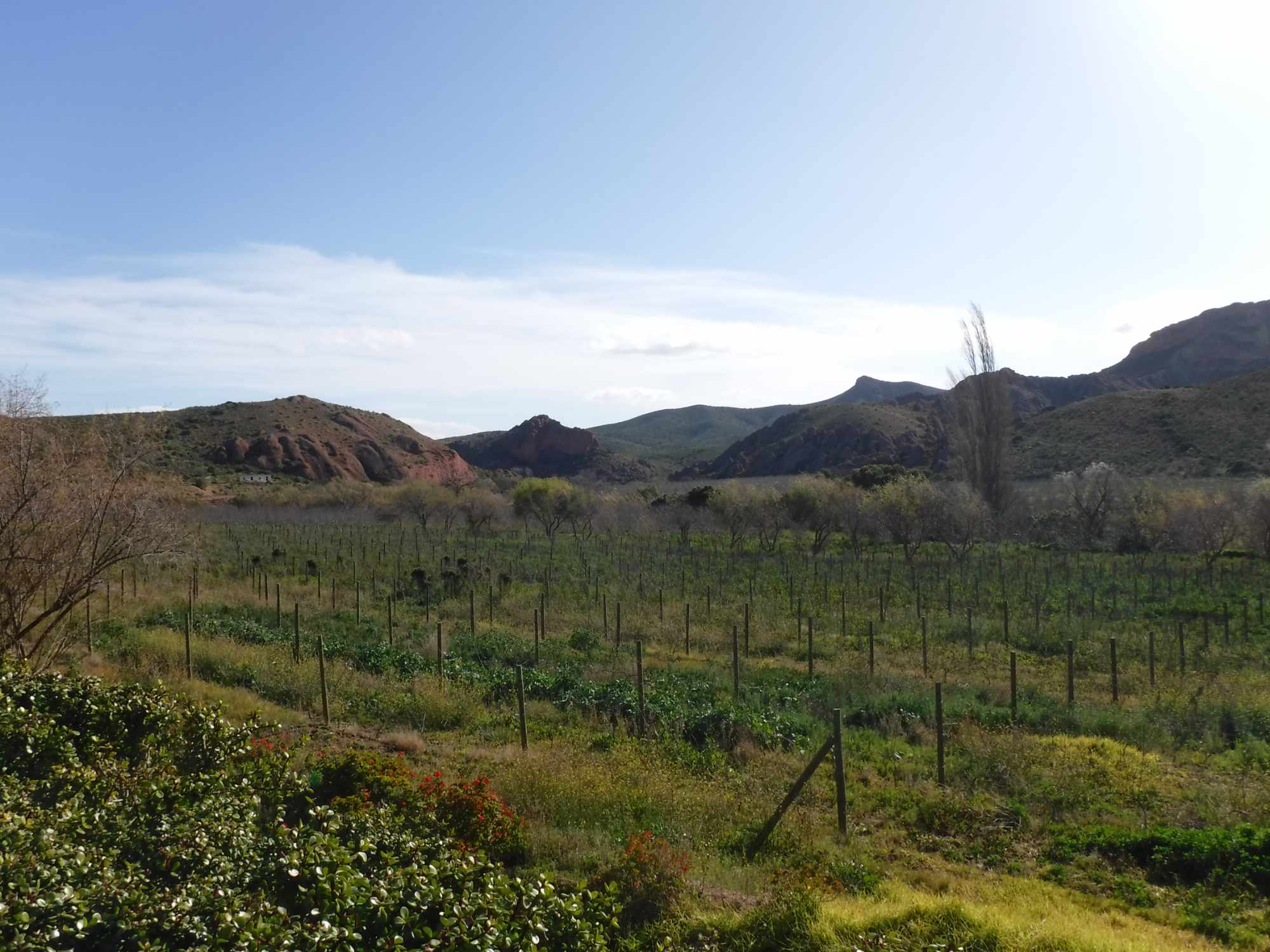 Beautiful Property Known As Red Mountain Ridge Including Guest Cottages thumbnail 44