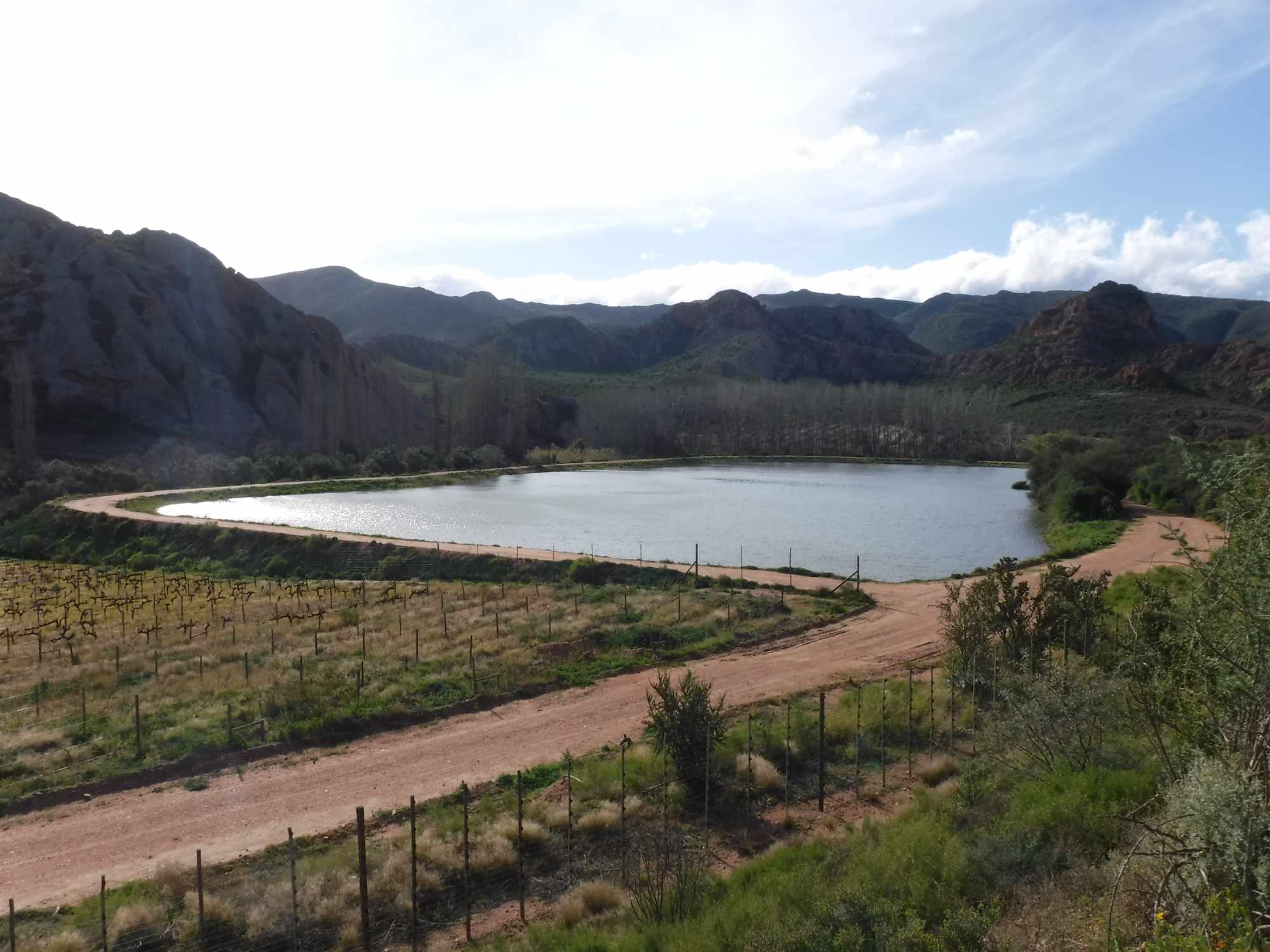 Beautiful Property Known As Red Mountain Ridge Including Guest Cottages thumbnail 47