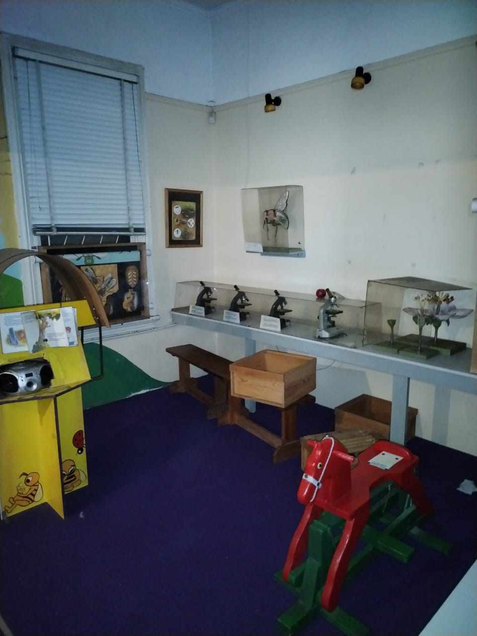 Excellent Location With Huge Potential - Maitland thumbnail 12