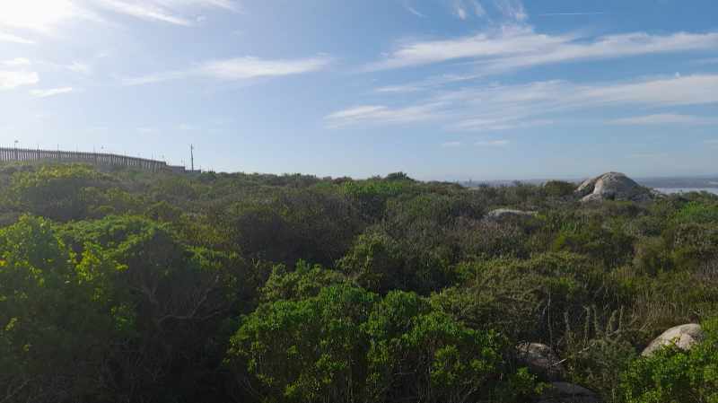 Views Galore - Saldanha thumbnail 4