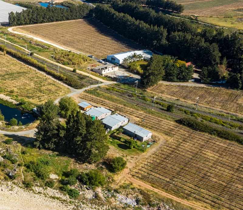 Export Table Grape Producing Farm - Liquidation Auction thumbnail 2