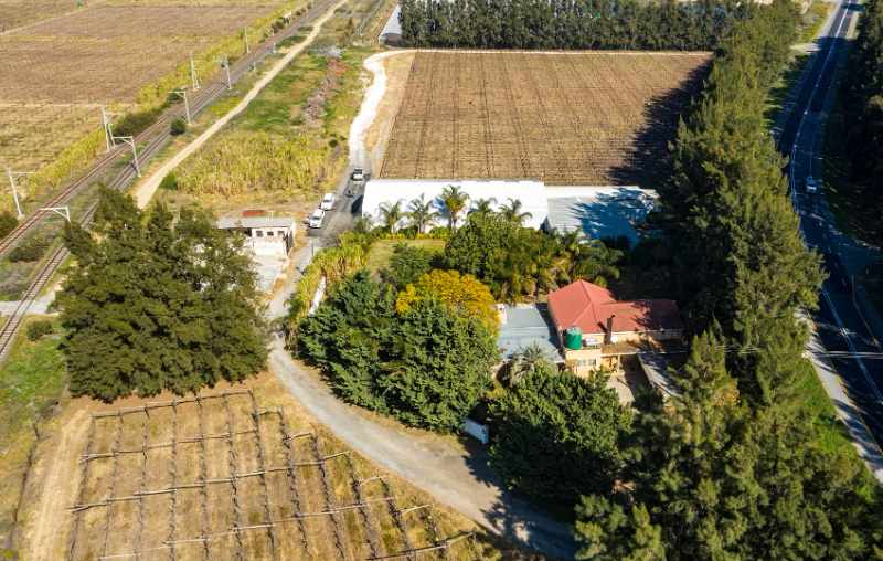 Export Table Grape Producing Farm - Liquidation Auction thumbnail 3