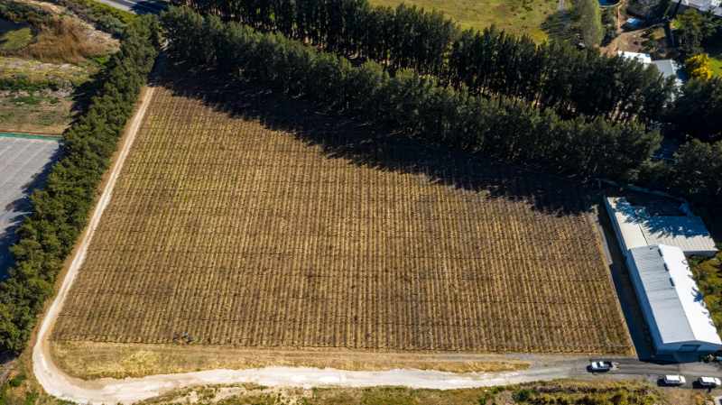 Export Table Grape Producing Farm - Liquidation Auction thumbnail 5