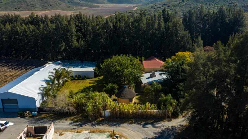 Export Table Grape Producing Farm - Liquidation Auction thumbnail 7