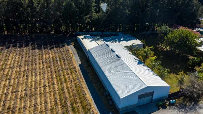 Export Table Grape Producing Farm - Liquidation Auction thumbnail 8