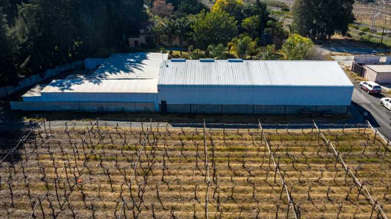 Export Table Grape Producing Farm - Liquidation Auction thumbnail 9