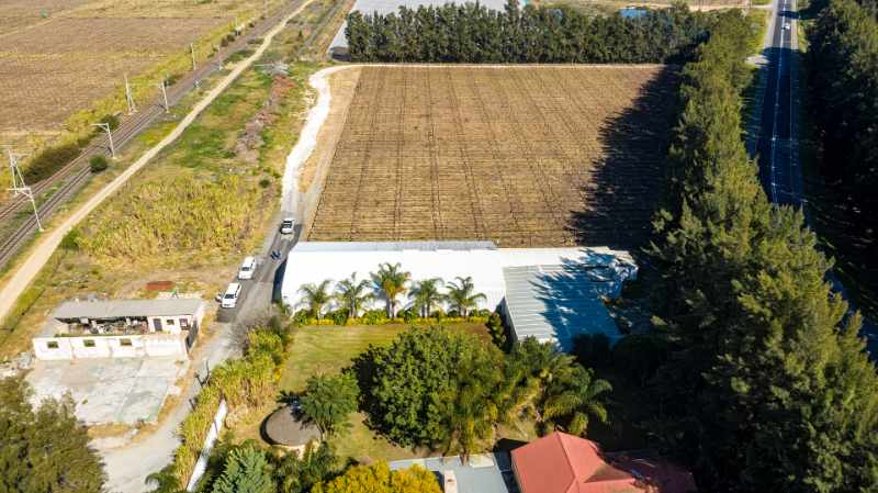 Export Table Grape Producing Farm - Liquidation Auction thumbnail 10