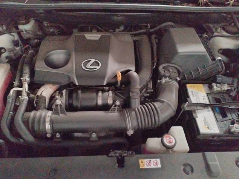 2020 LEXUS NX 300 EX thumbnail 11