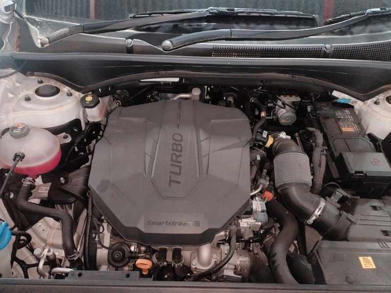 2023 HYUNDAI SANTA-FE R2.2 AWD ELITE DCT(7SEAT) thumbnail 11
