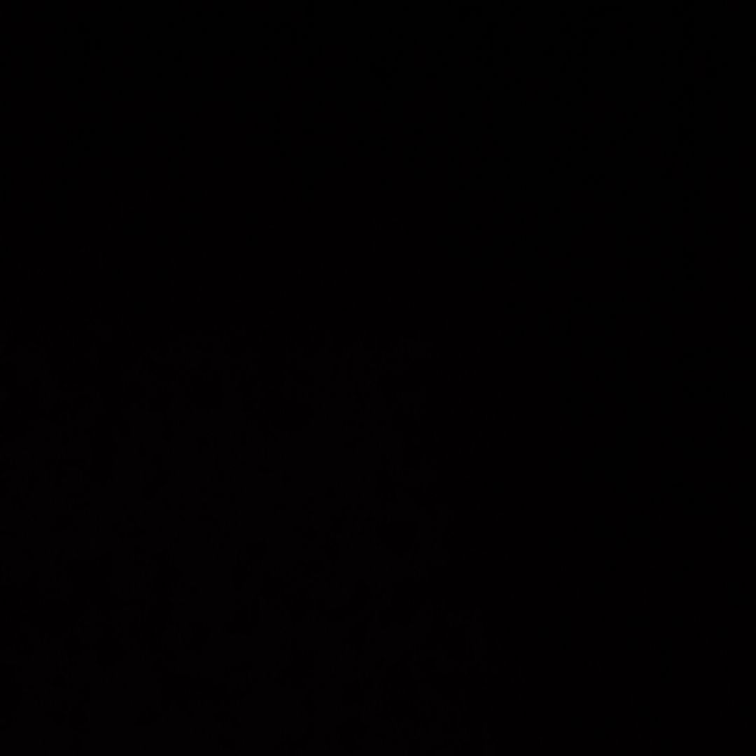 Shawn's avatar'