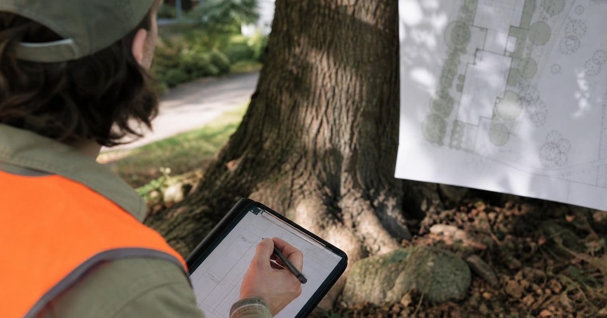 Consulting arborist records a mature tree on a field device beside a site plan