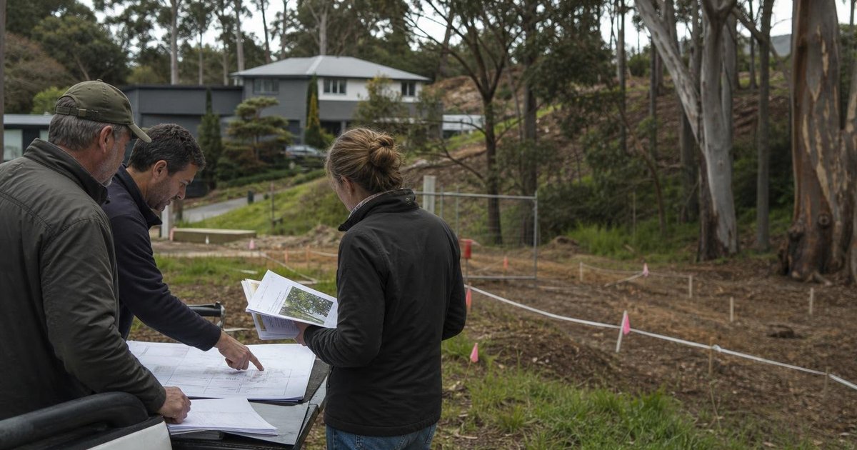 Project team reviewing arborist report and site plans beside trees at proposed work area