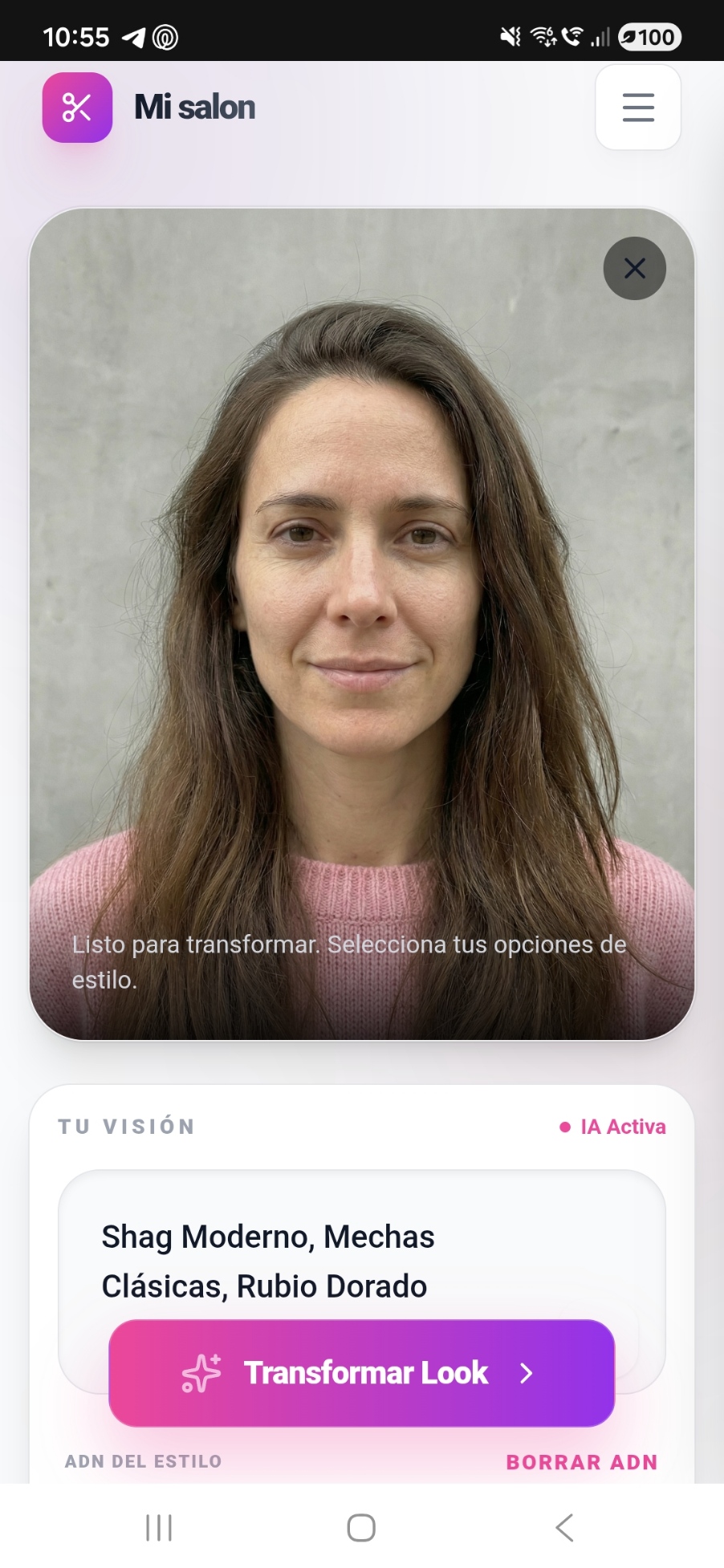 Carga de imagen y selección de estilos