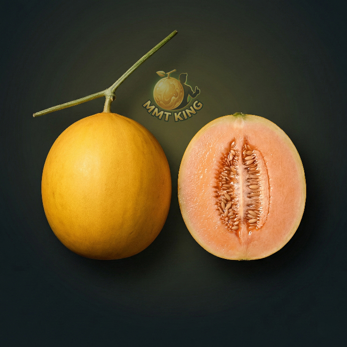 MMT Premium Top Down View