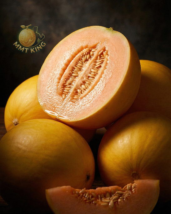 MMT – Poster Eksklusif