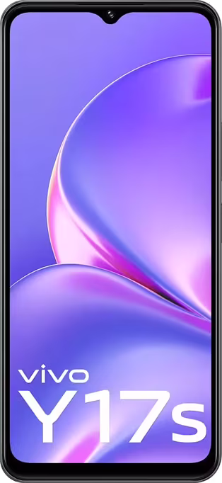 Vivo Y17s