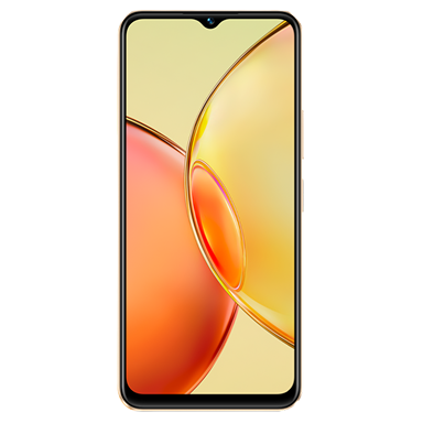 Vivo Y56