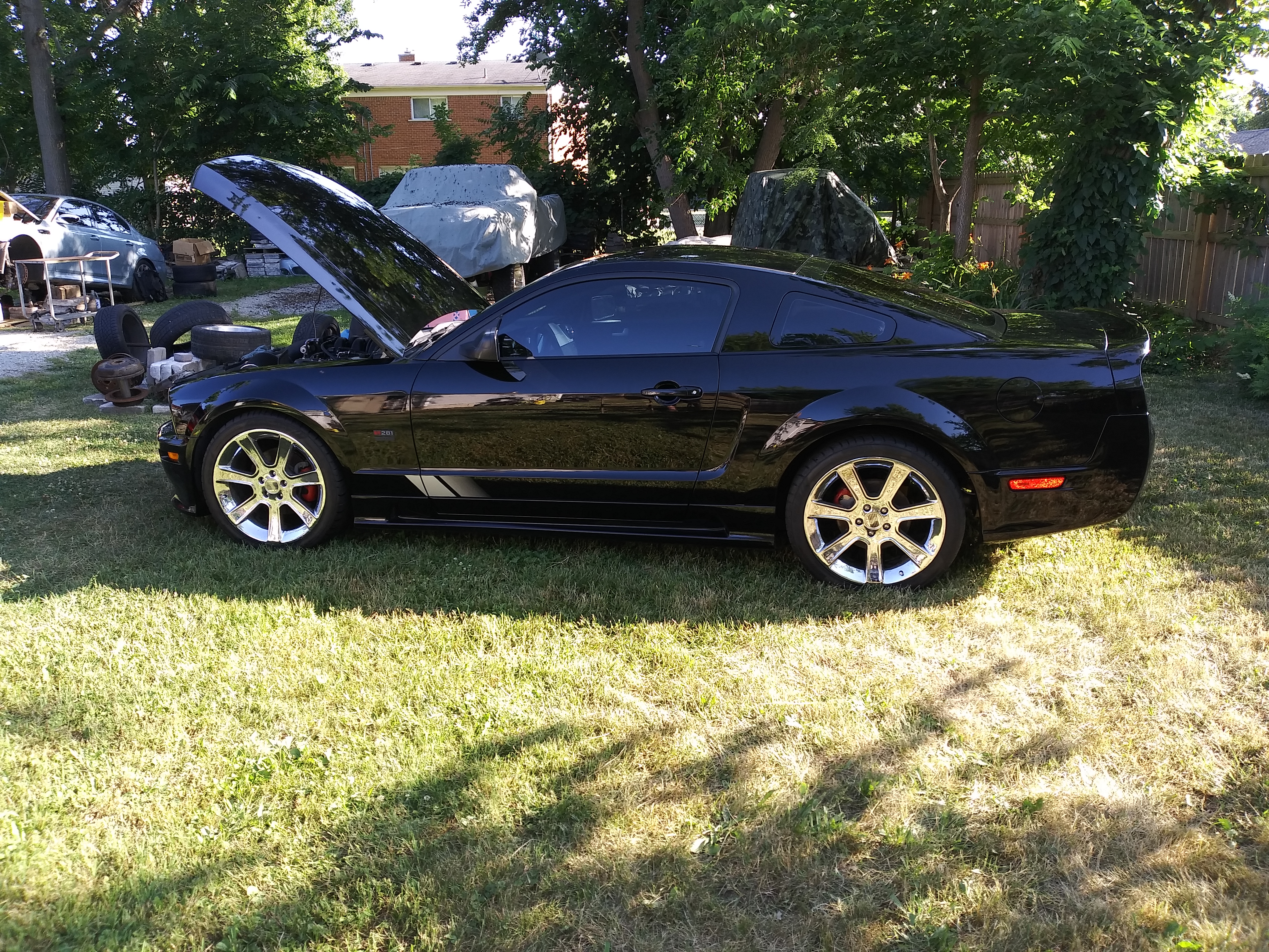 2007 Saleen injector harness repair & buff