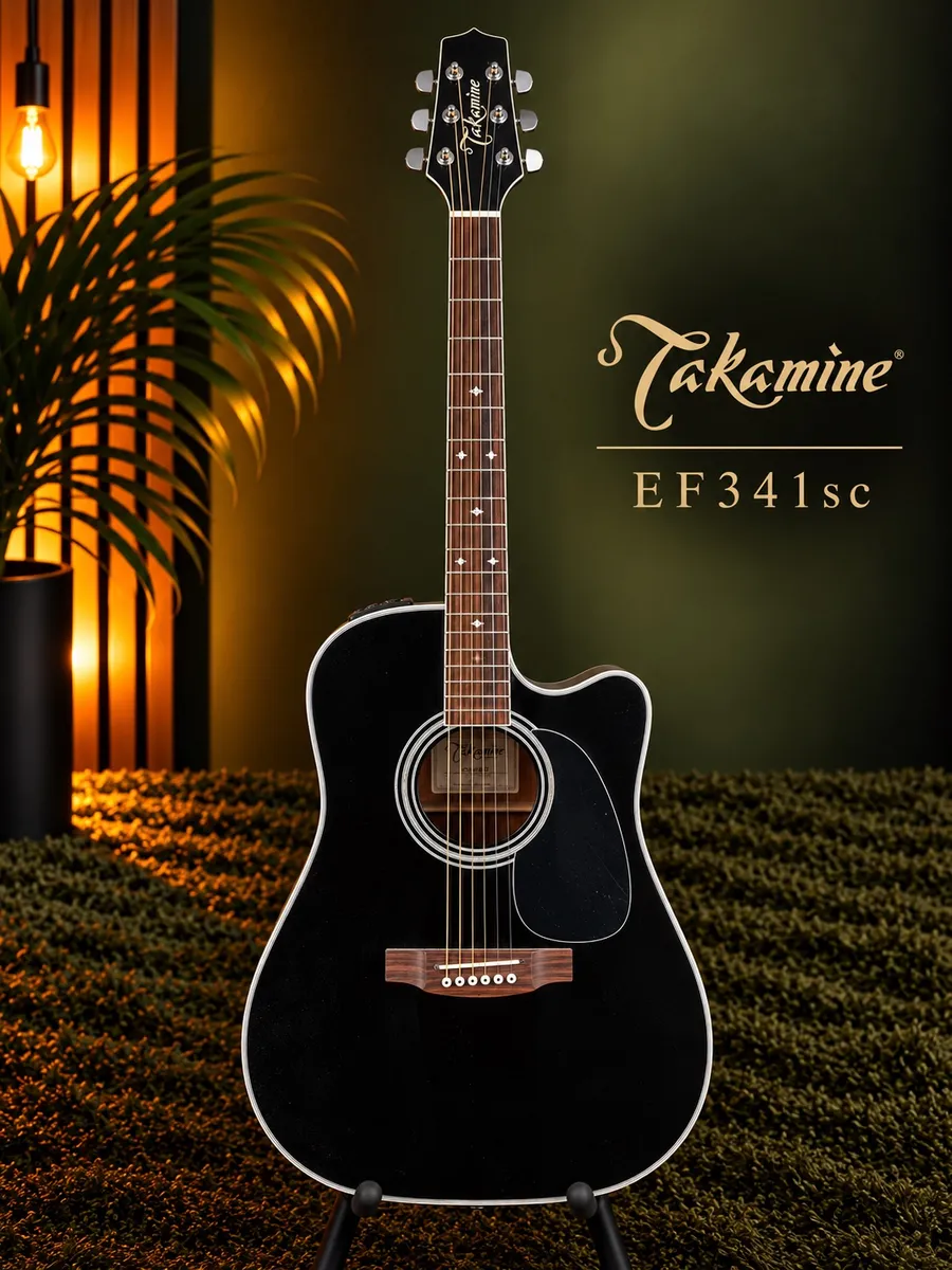 TAKAMINE EF341SC “NOVO” — foto 1 de 8