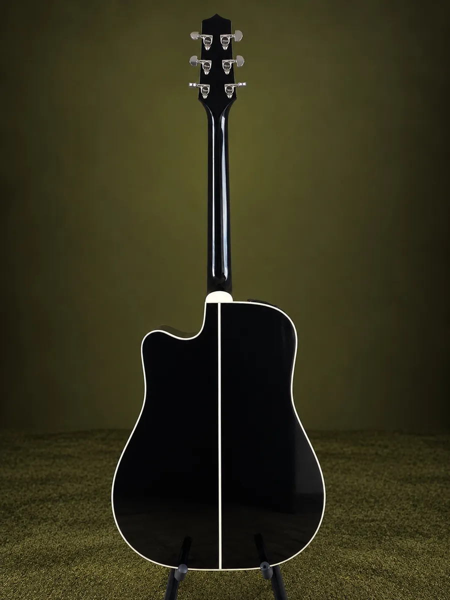 TAKAMINE EF341SC “NOVO” — foto 2 de 8