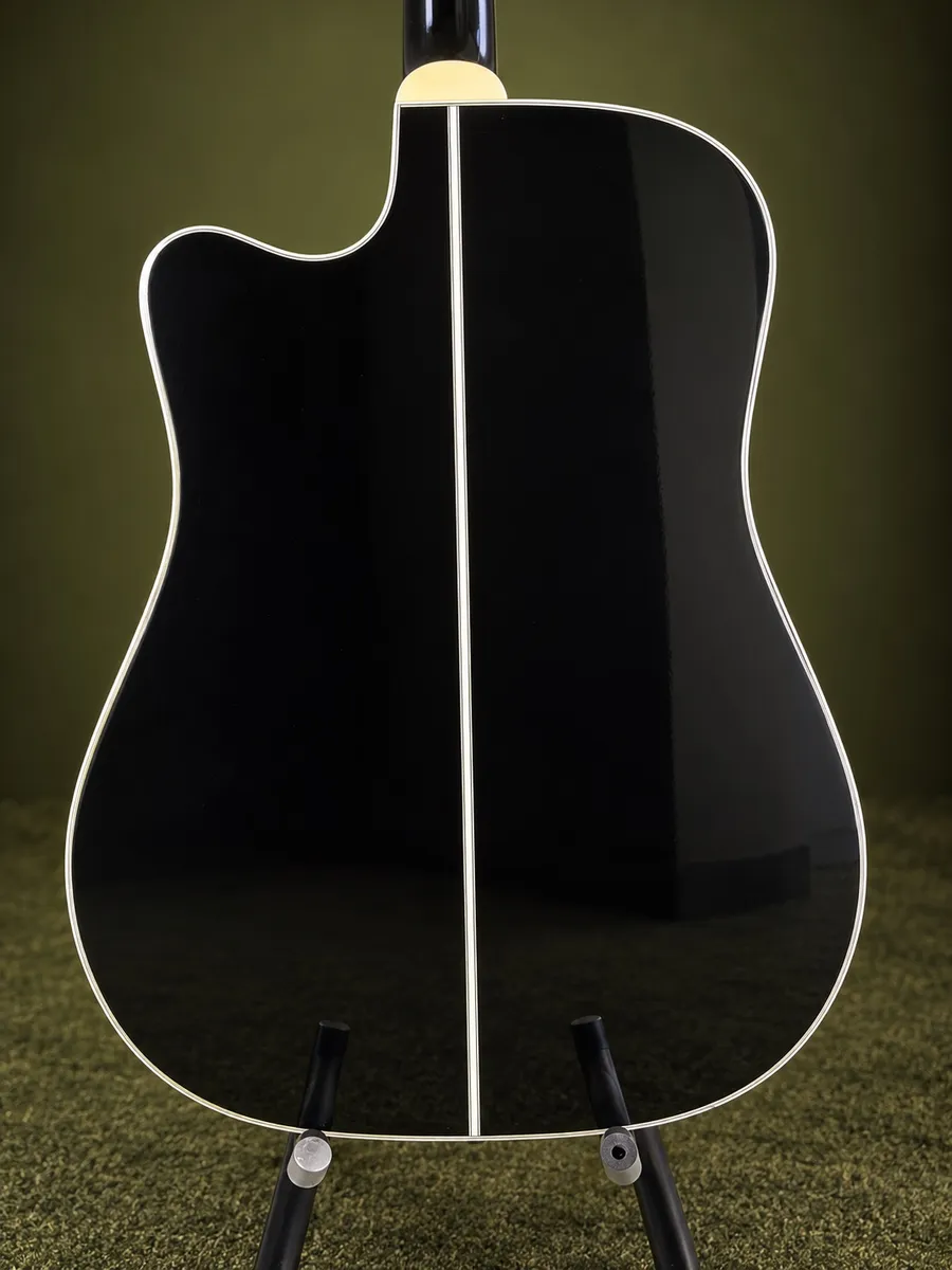 TAKAMINE EF341SC “NOVO” — foto 4 de 8