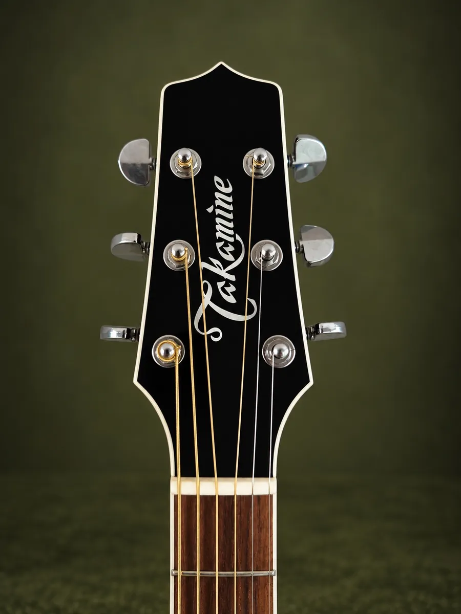 TAKAMINE EF341SC “NOVO” — foto 5 de 8