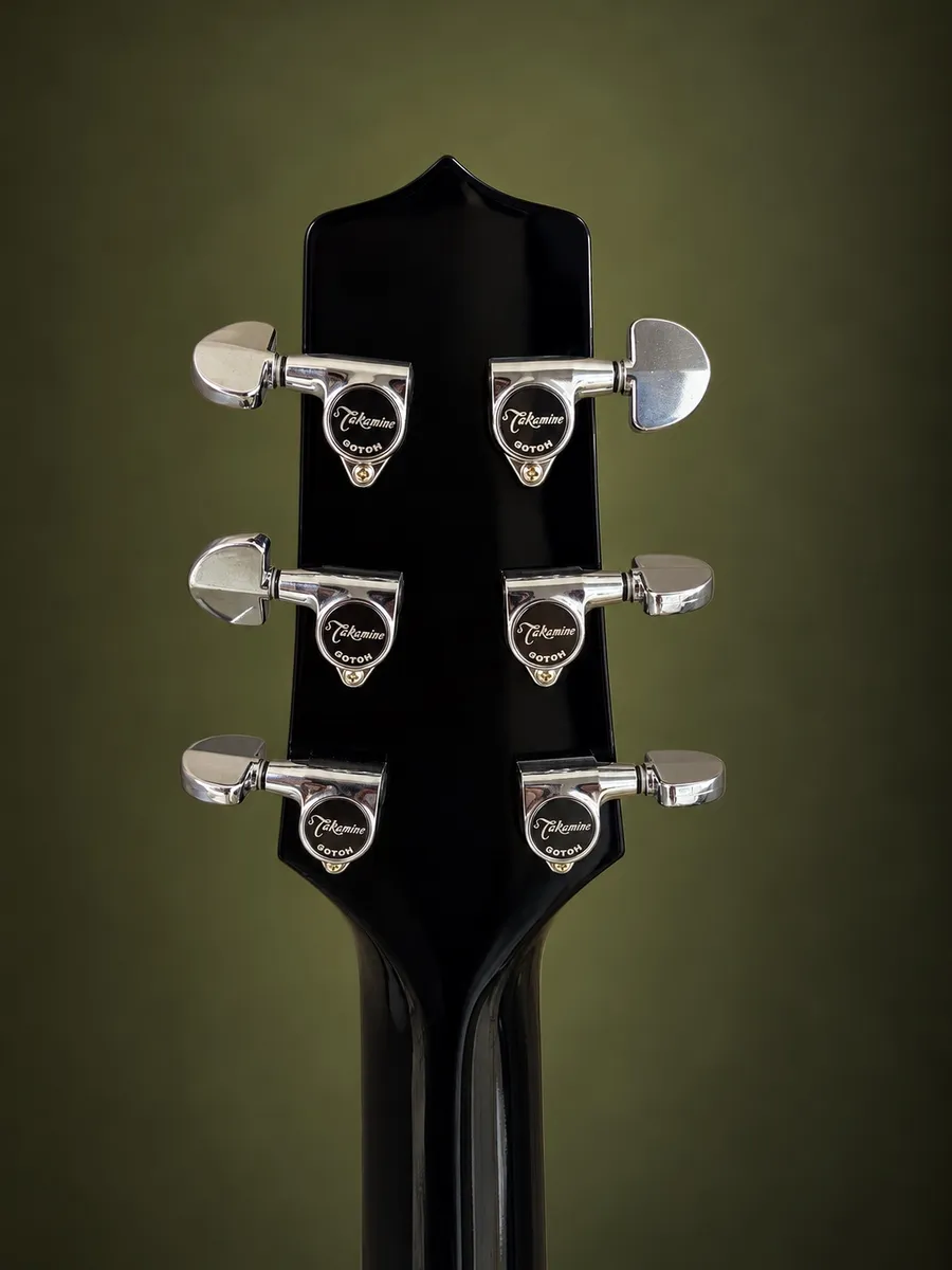 TAKAMINE EF341SC “NOVO” — foto 6 de 8
