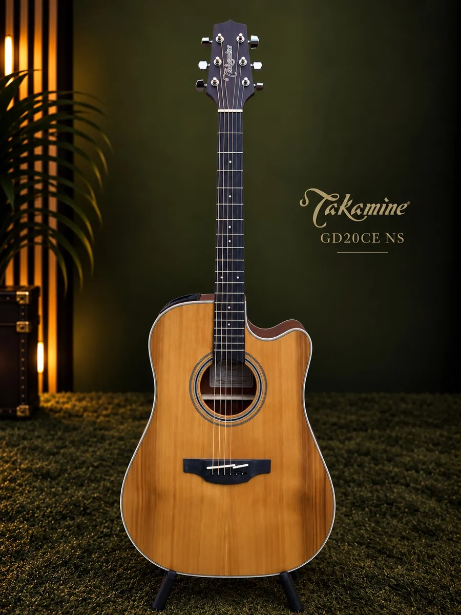 Takamine GD20CE-NS NOVO — foto 1 de 6