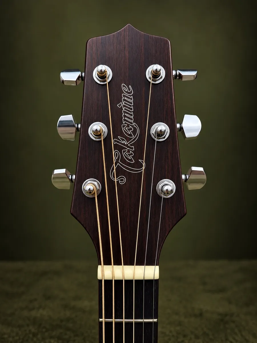 Takamine GD20CE-NS NOVO — foto 4 de 6